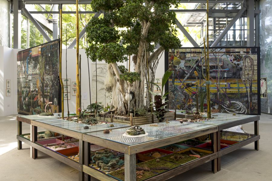 Table-herbier, Luis Zerbini © Fondation Cartier