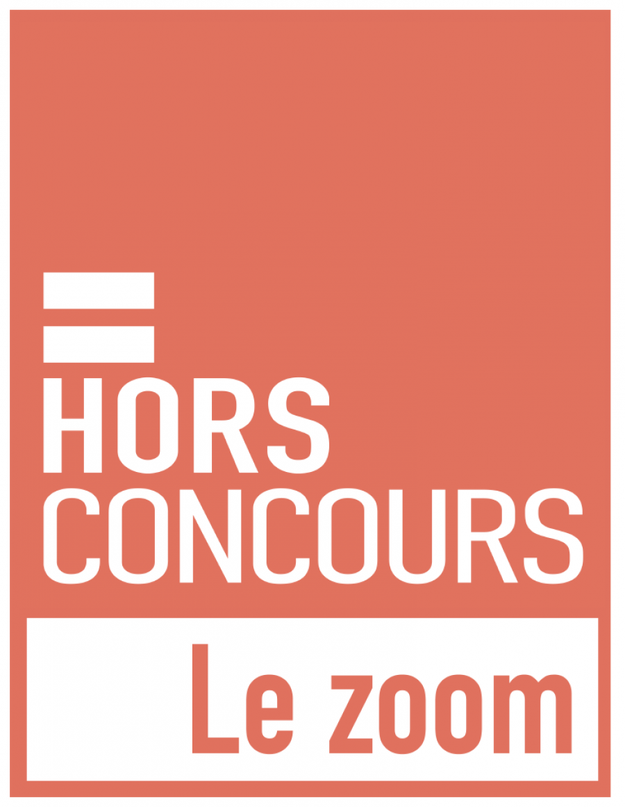 Hors concours, le Zoom © tema.archi