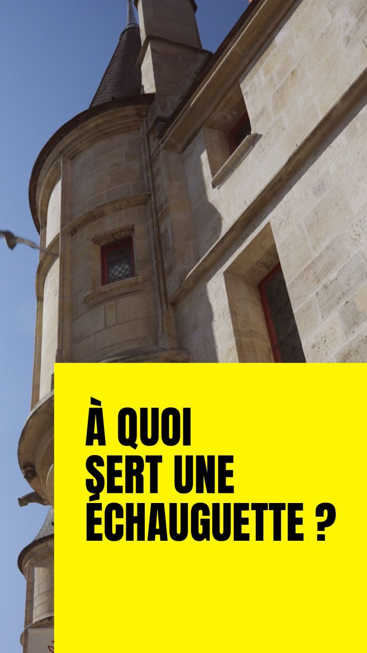 🔍 Vous saviez ce que c’est, vous ?