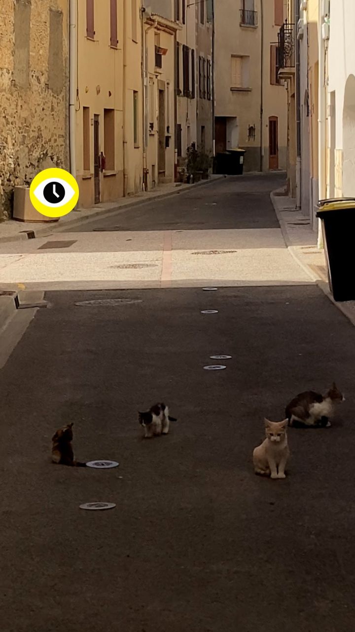 ⏯️ Toute l’équipe de Tema.archi vous souhaite une belle rentrée pleine de douceur, mais surtout une belle année 2024 !